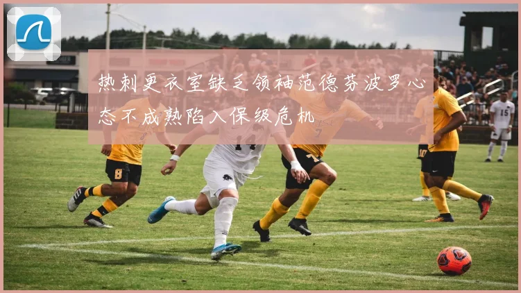 热刺更衣室缺乏领袖范德芬波罗心态不成熟陷入保级危机